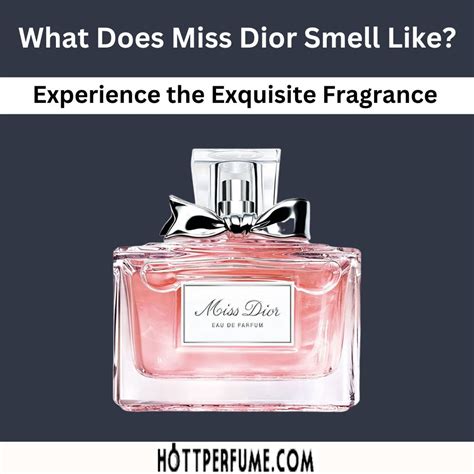 miss dior pret|what does miss dior smell like.